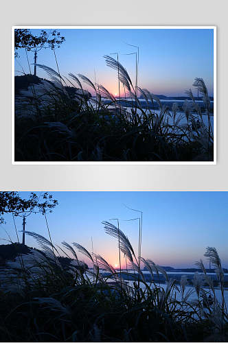 美丽湖泊湖面摄影元素图片