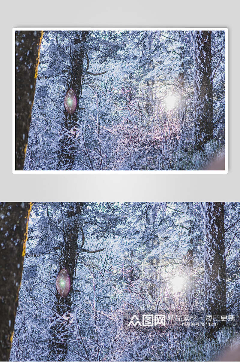 峨眉山森林雪景高清图片素材
