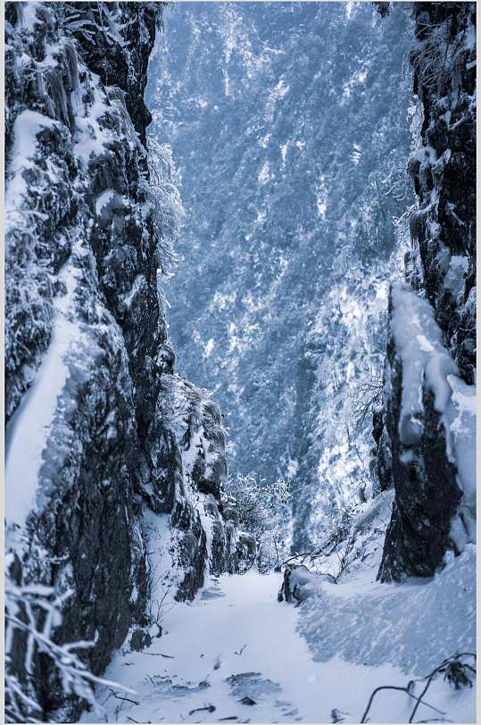 峨眉山雪景雪松高清图片