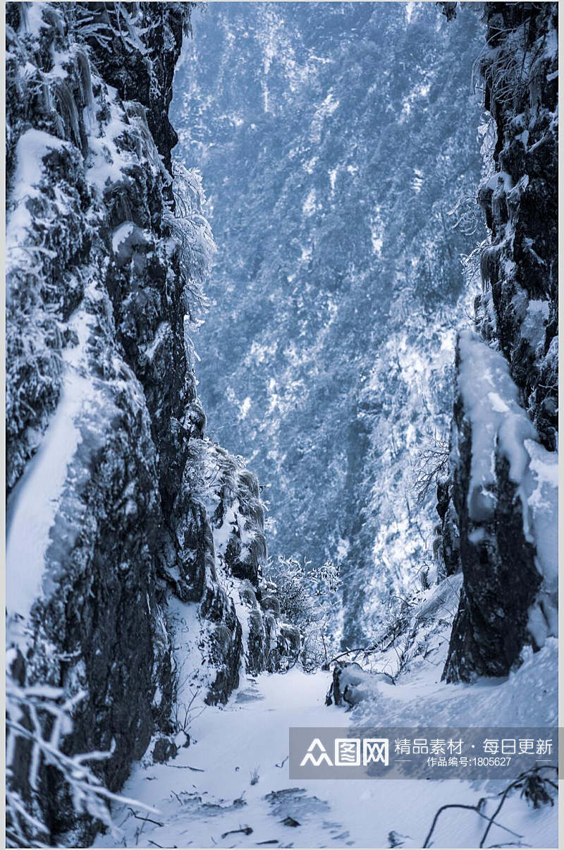 峨眉山雪景雪松高清图片素材