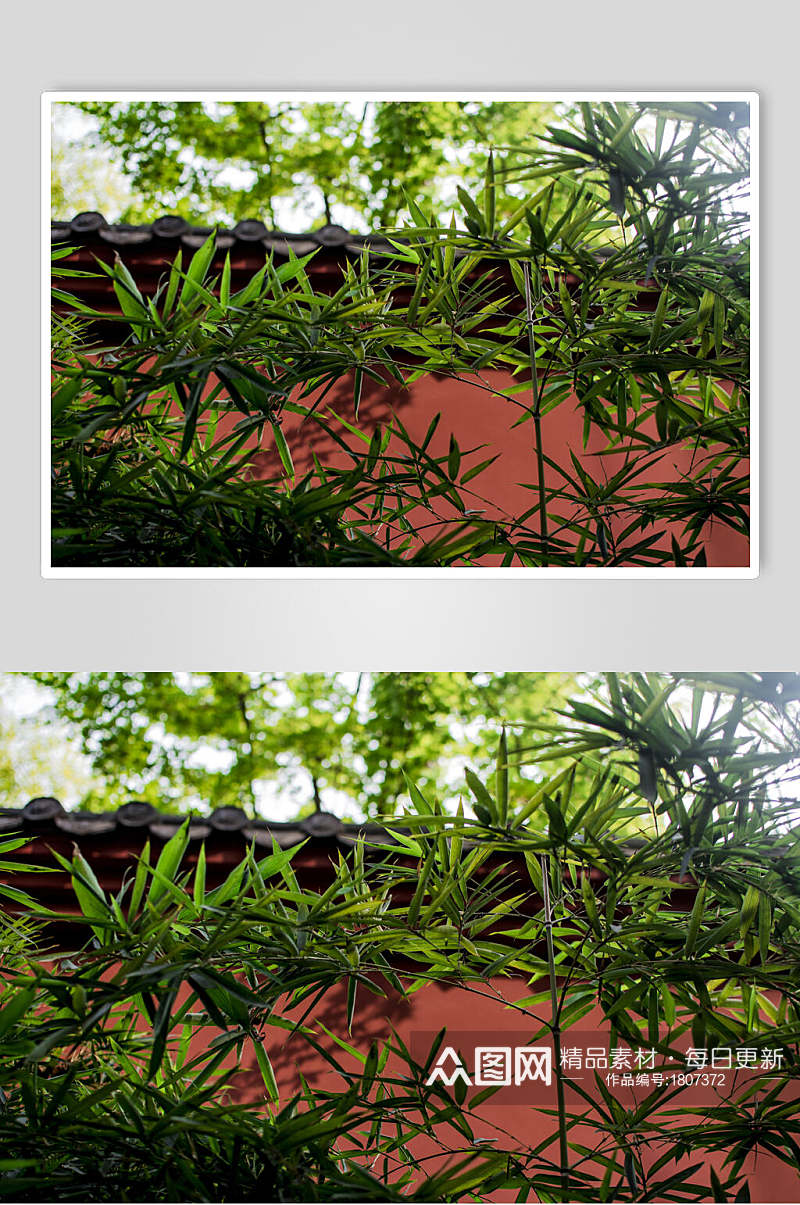 成都古城红墙植物中国风摄影图片素材