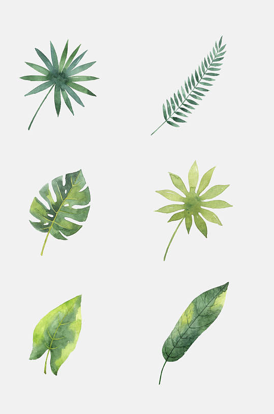 手绘热带雨林植物免抠元素素材