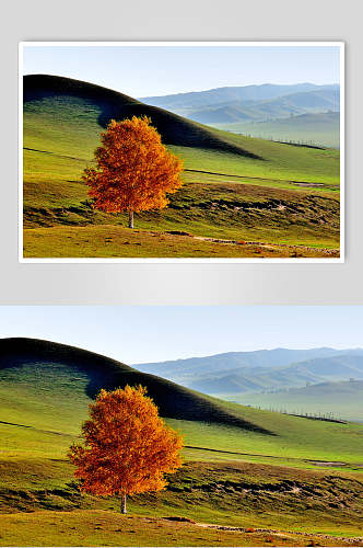 乌兰布统风景绿色草原高清图片
