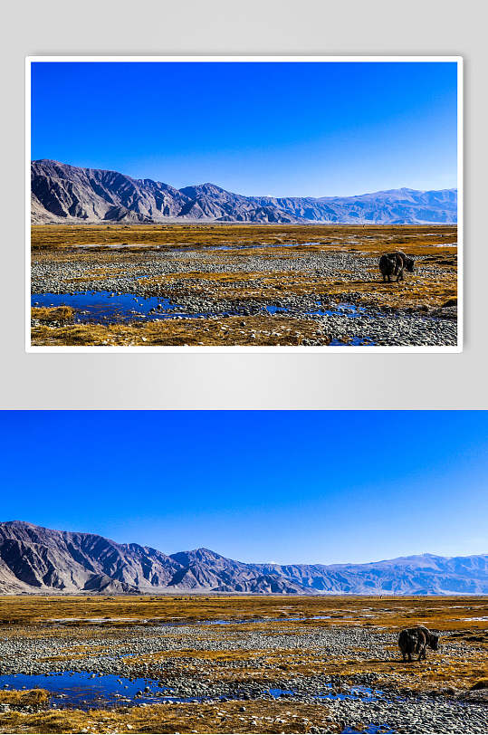 新疆喀什摄影素材图片