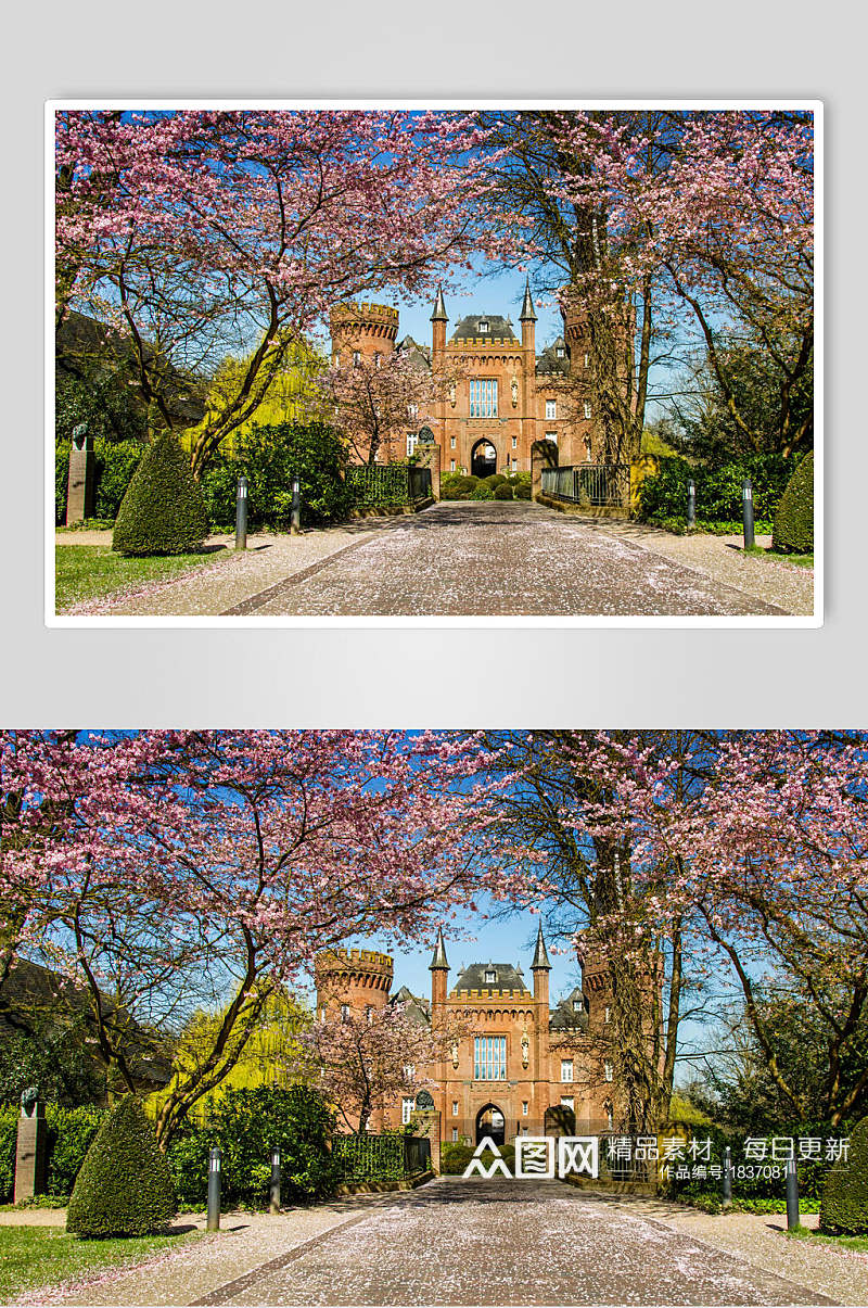 美丽欧洲城堡古堡摄影图片素材