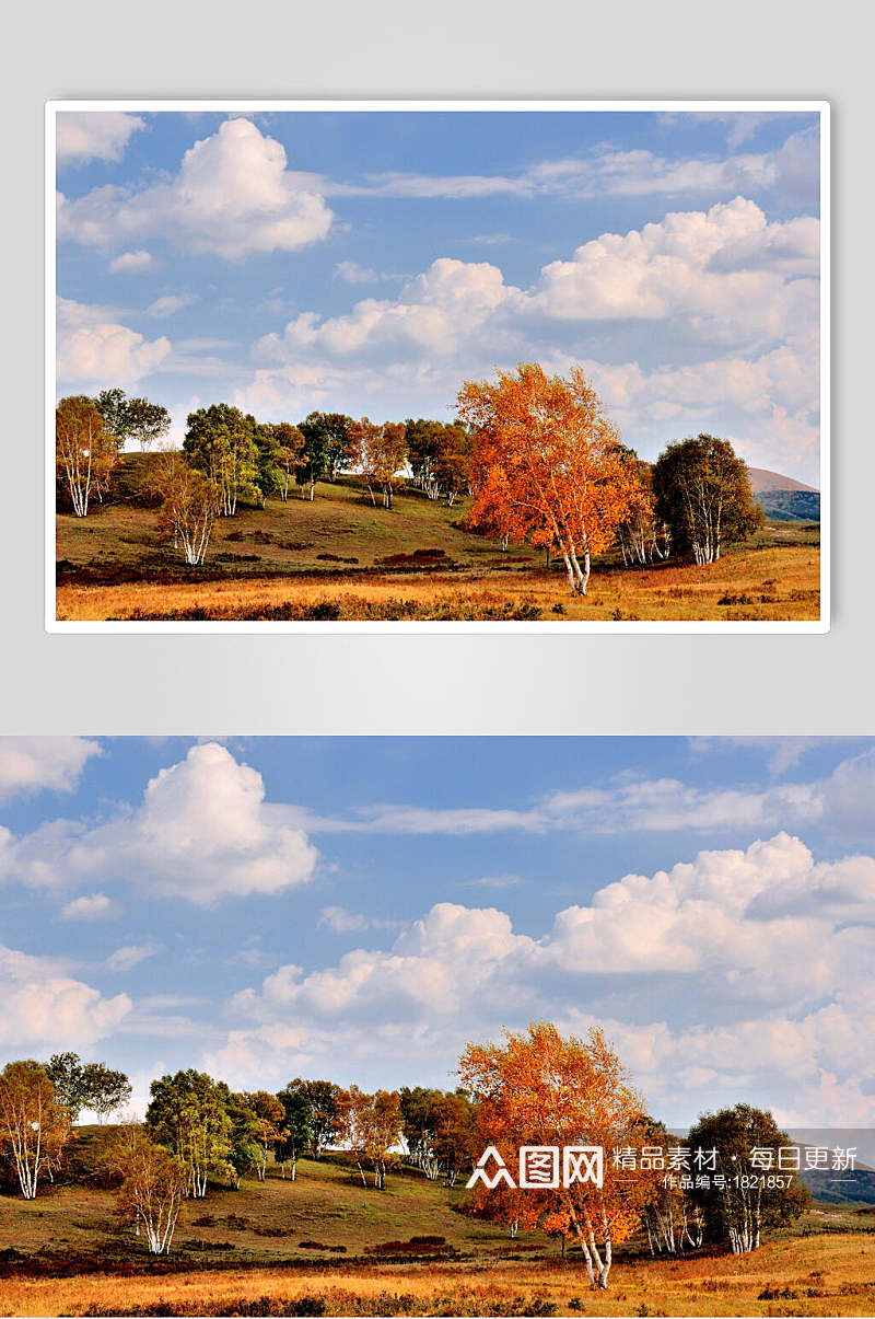 乌兰布统风景树木蓝天白云图片素材