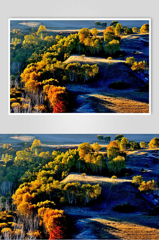 乌兰布统风景森林美景高清图片