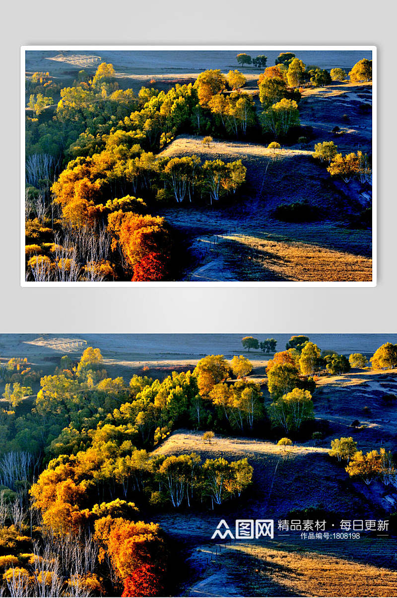 乌兰布统风景森林美景高清图片素材