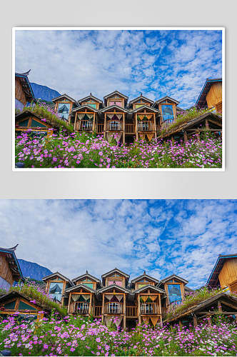 泸沽湖花卉房屋高清图片