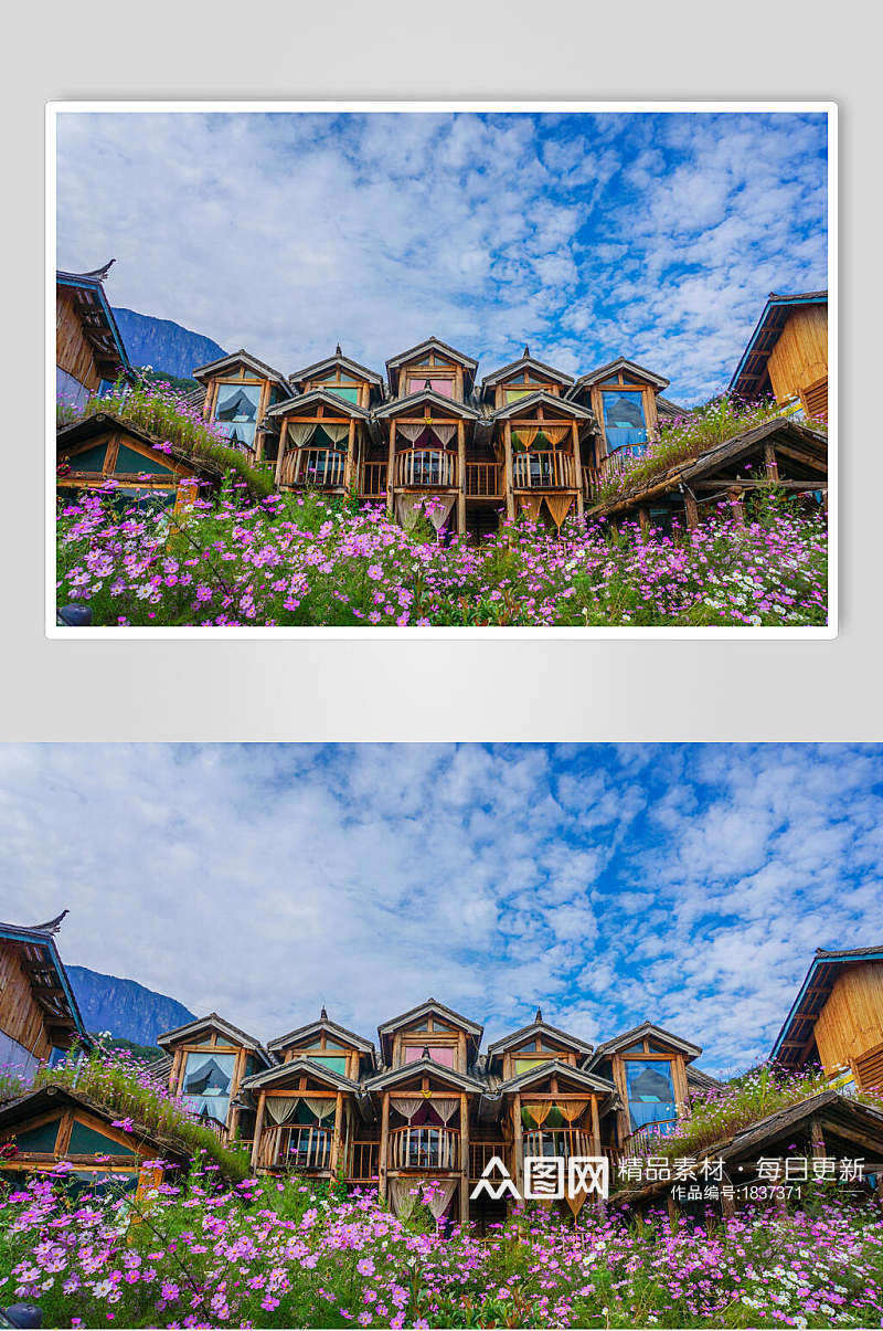 泸沽湖花卉房屋高清图片素材