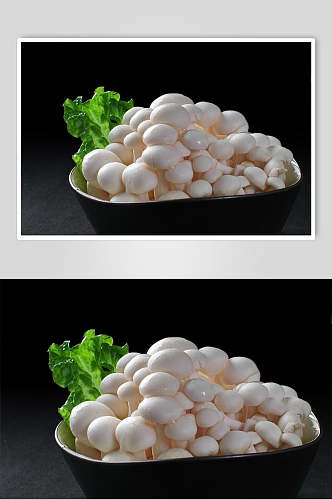 火锅配菜海鲜菇图片
