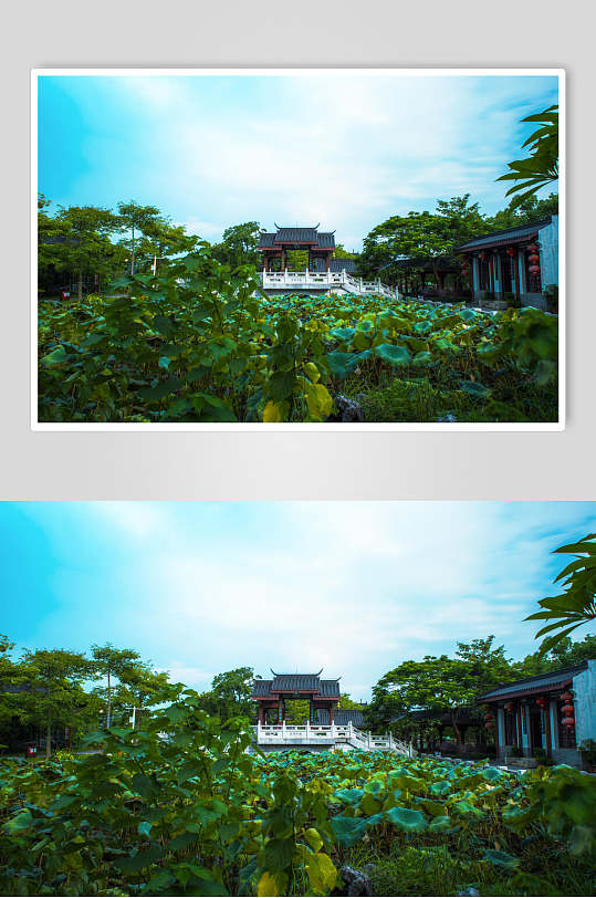 中国风古建筑荷花塘背景高清图片