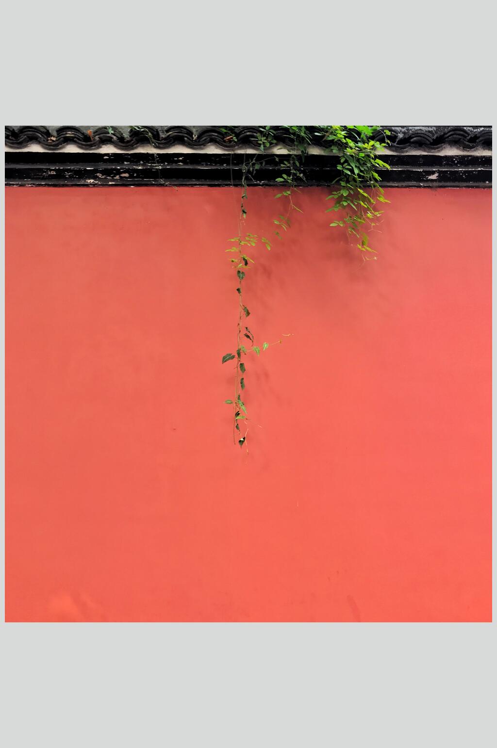 红色的墙壁素材