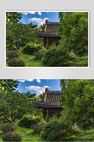 北京公园风光植物白云古代建筑图片