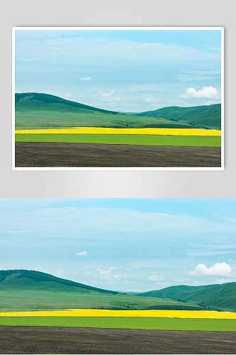 内蒙古呼伦贝尔大草原高清图片