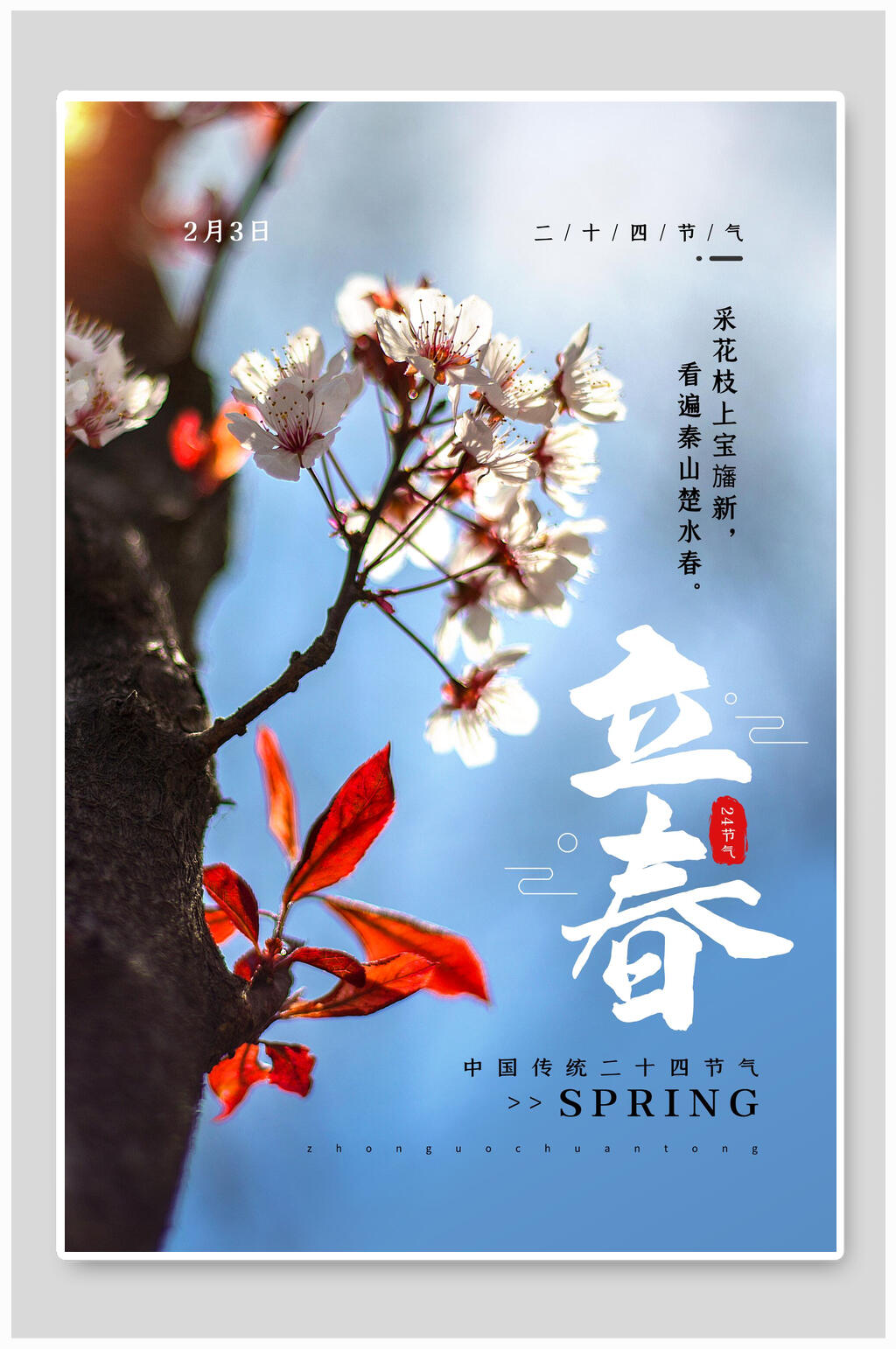 桃花二十四节气立春海报素材