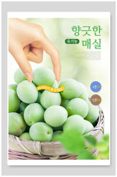 韩国新鲜水果美食海报