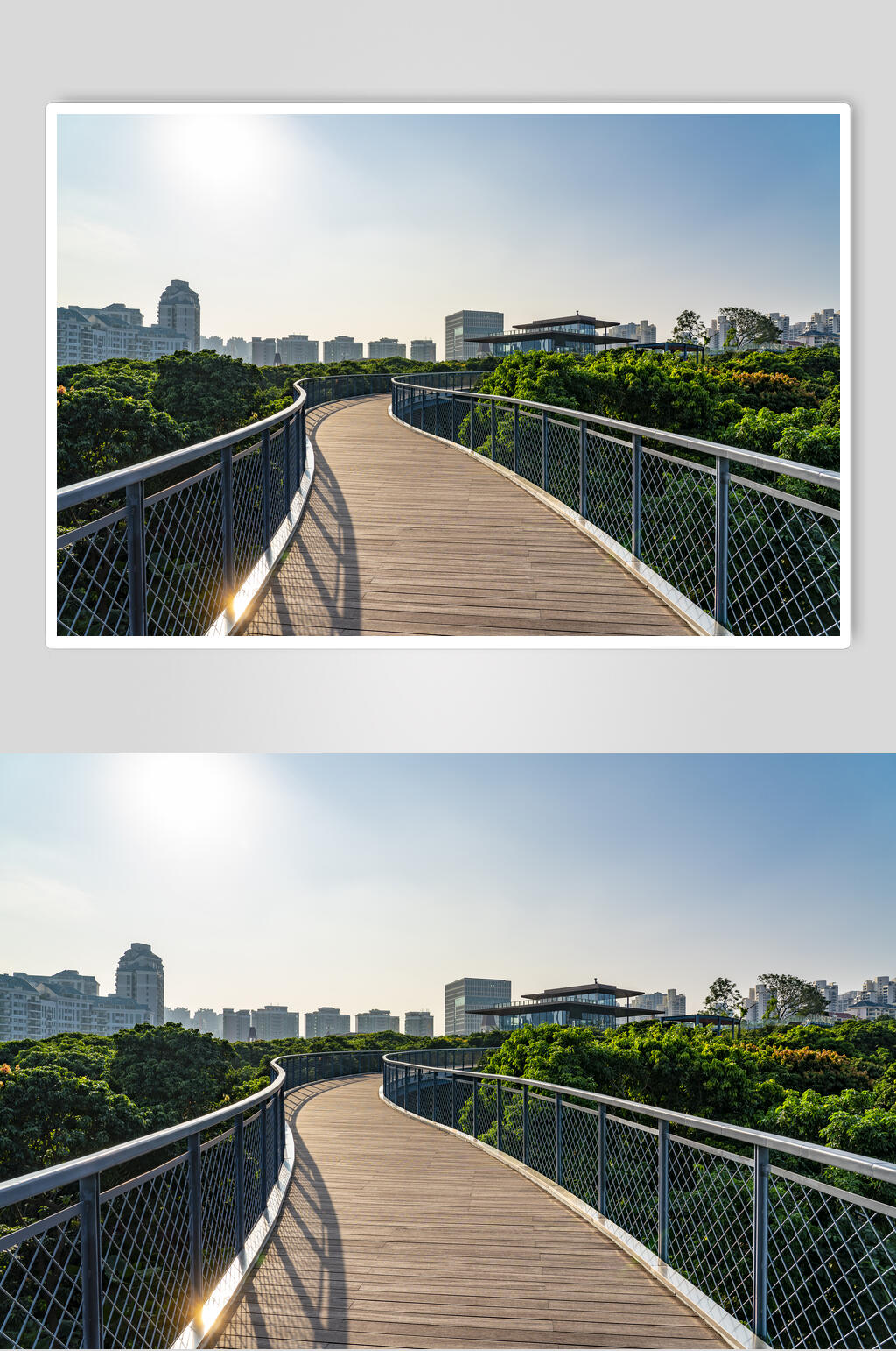 公园道路素材_公园道路模板_公园道路设计图片免费下载-众图网