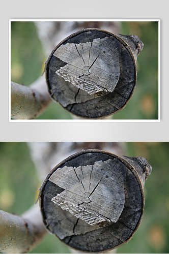木质木纹年轮背景特写图片