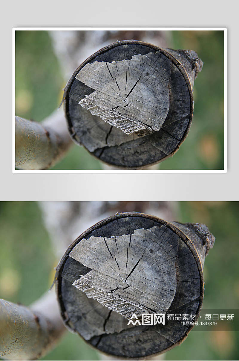 木质木纹年轮背景特写图片素材