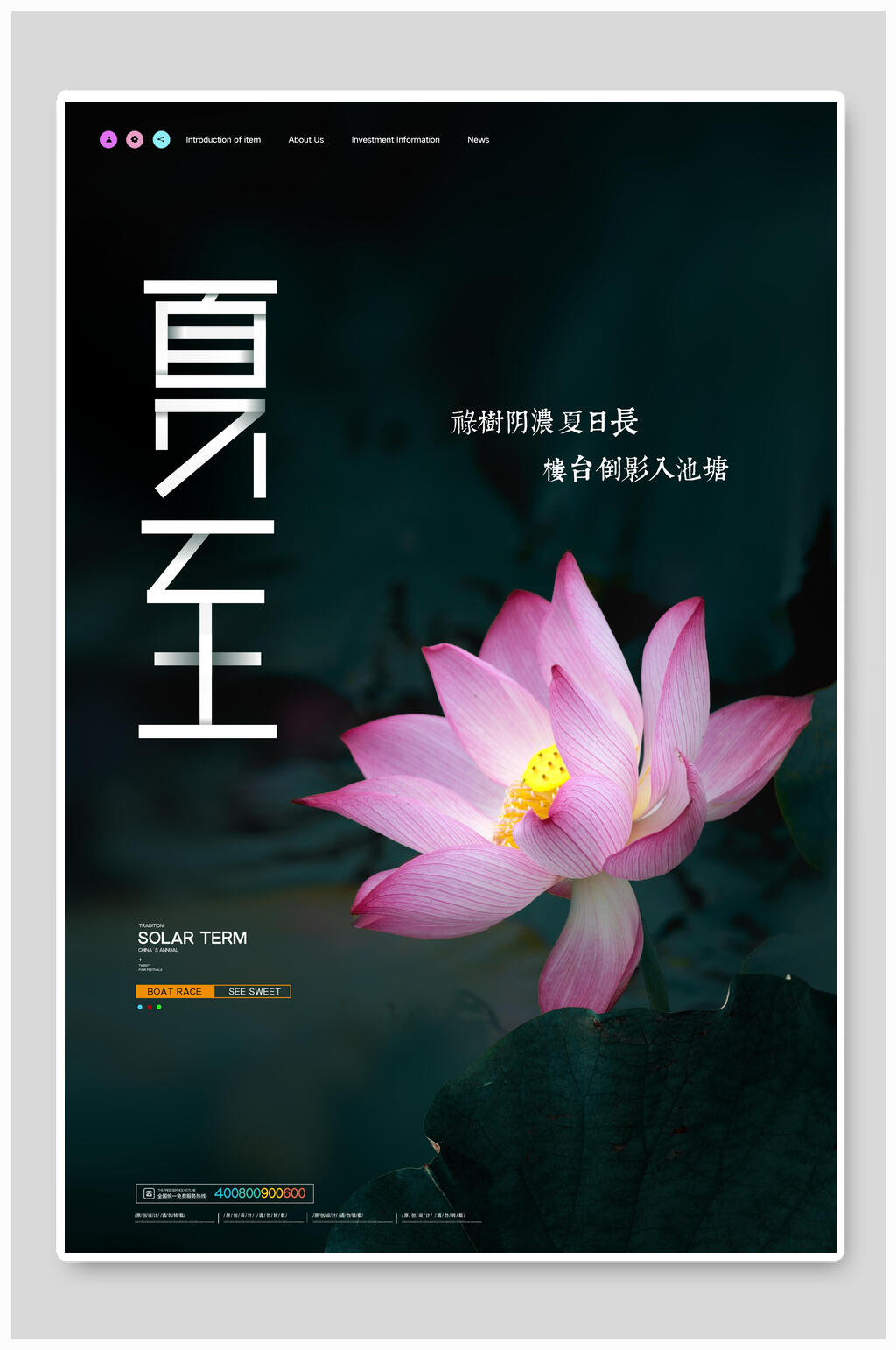 夏至荷花海报素材