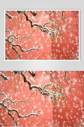 北京故宫红墙飘雪高清图片