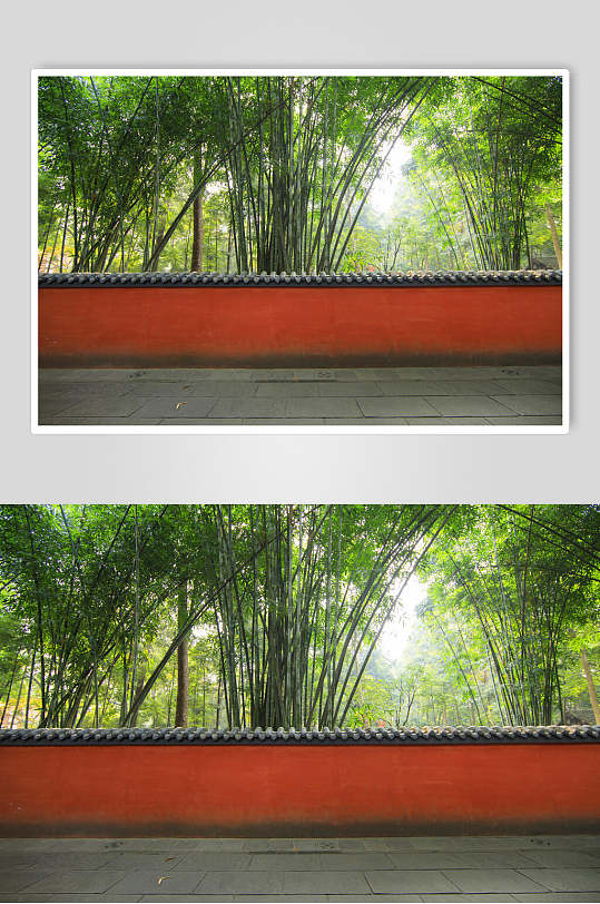 中国风红色围墙竹林高清图片
