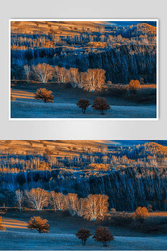 乌兰布统风景森林树木高清图片