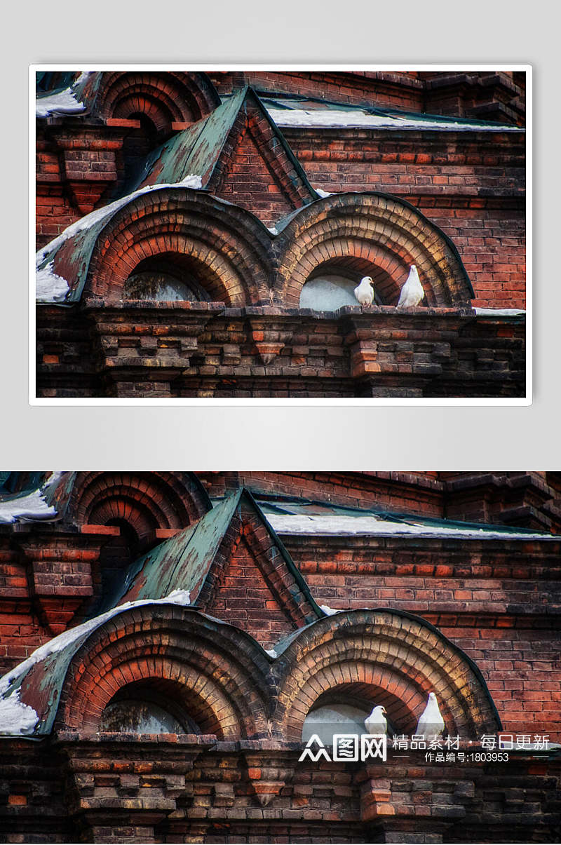 哈尔滨圣索菲亚大教堂上的白鸽高清图片素材
