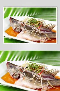 美味健康清蒸桂鱼高清图片