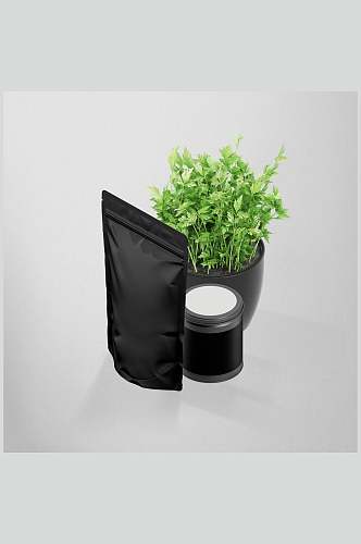 绿植金属盒咖啡茶叶包装袋整套VI样机效果图