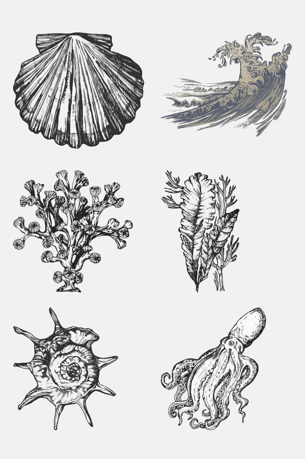 素描章鱼海洋生物手绘元素素材