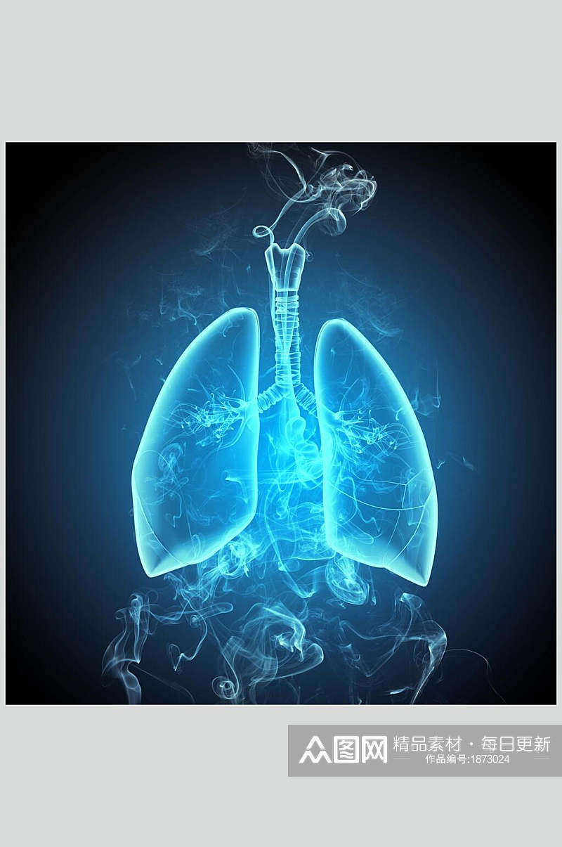 真实人体器官肺图片素材