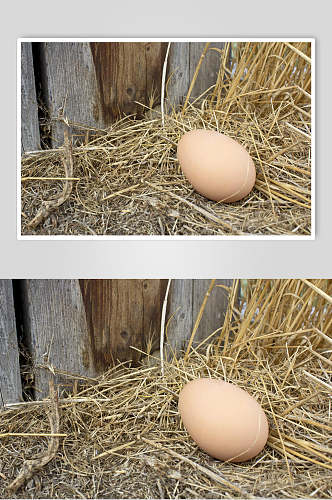 新鲜农机土鸡蛋背景图片