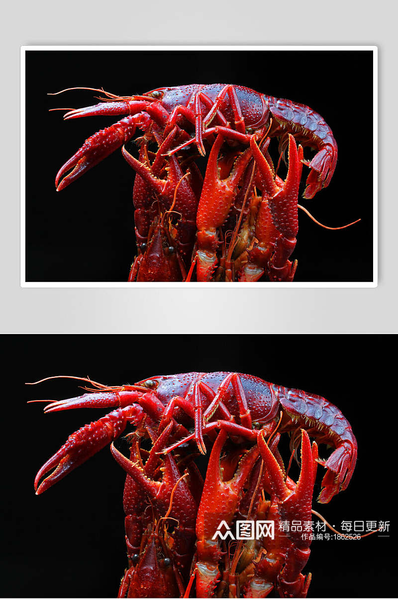 红红火火小龙虾摄影素材图片素材