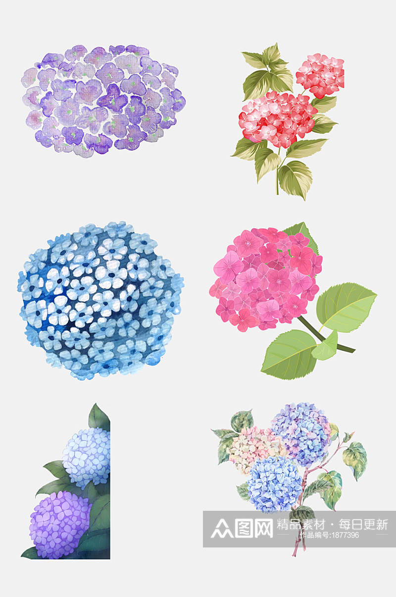 手绘画绣球花卉花朵免抠元素素材素材