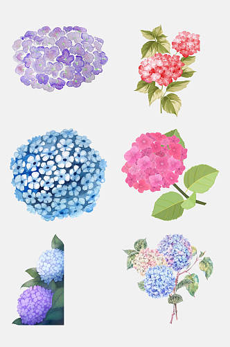 手绘画绣球花卉花朵免抠元素素材