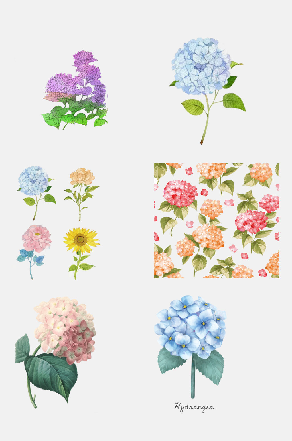 好看绣球花卉花朵免抠元素素材素材