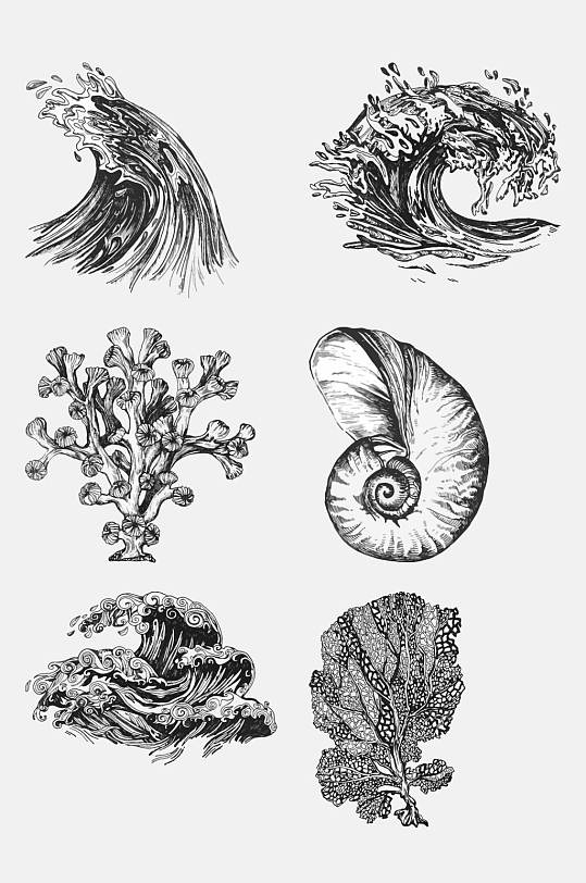 素描海螺海浪海洋生物手绘元素素材
