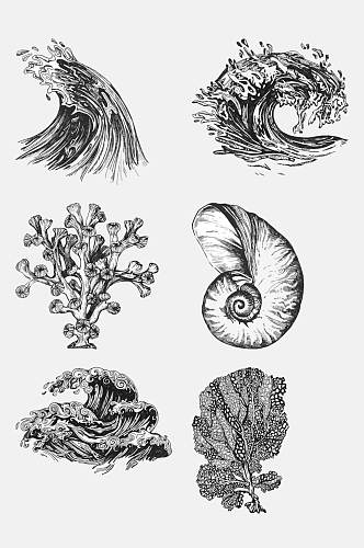 素描海螺海浪海洋生物手绘元素素材