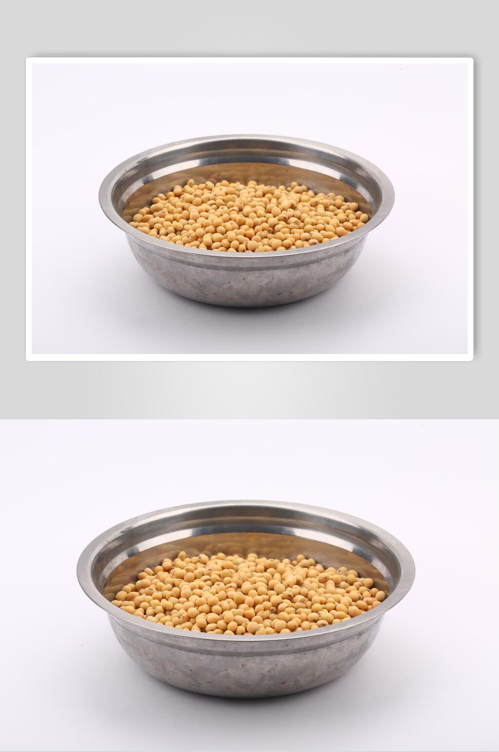 全生态黄豆大豆图片素材