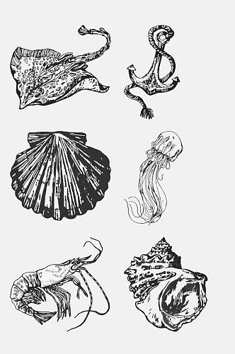 素描贝壳水母海洋生物手绘元素素材