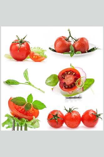 新鲜西红柿摄影图片