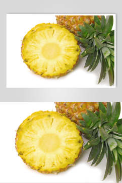 全生态菠萝摄影素材图片