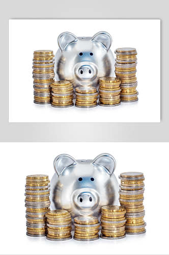 金融金币金猪储钱罐图片