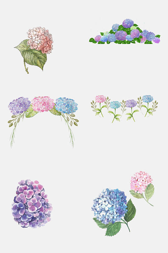 清新淡雅绣球花卉花朵免抠元素素材