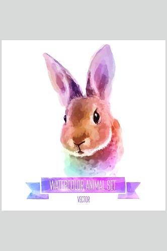 兔子动物头像水彩素材