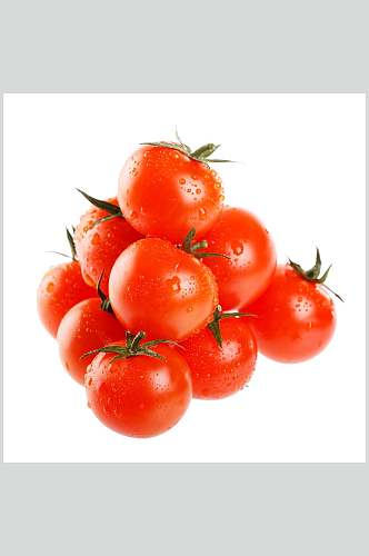 成熟西红柿摄影素材图片