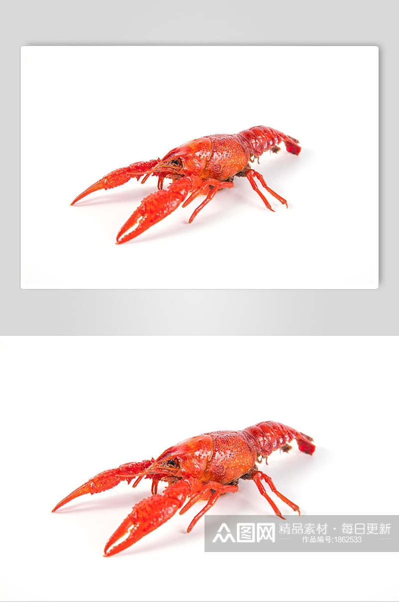 红红火火小龙虾图片素材