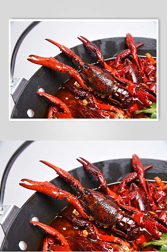 红红火火小龙虾摄影素材图片